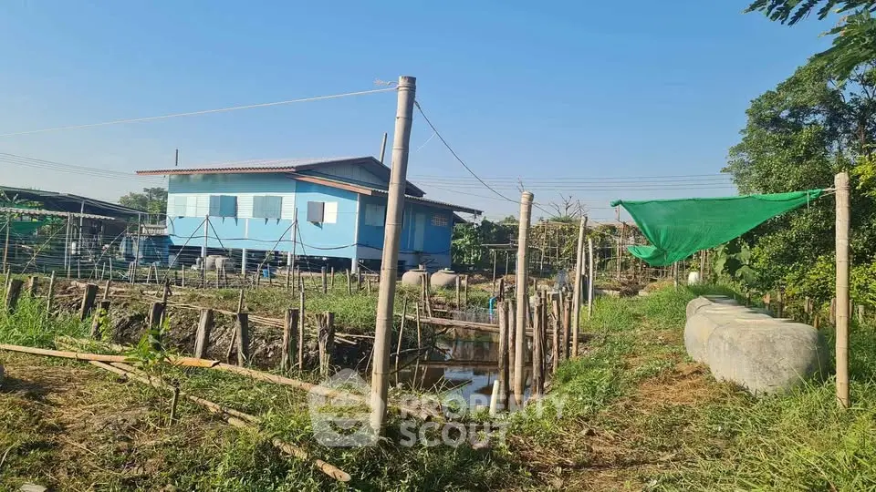 Charming rural property with blue house and lush greenery, perfect for serene living.