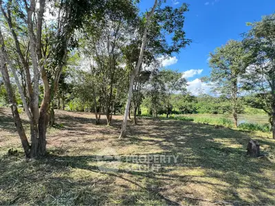Scenic land plot with lush trees and clear blue sky, perfect for development or investment.
