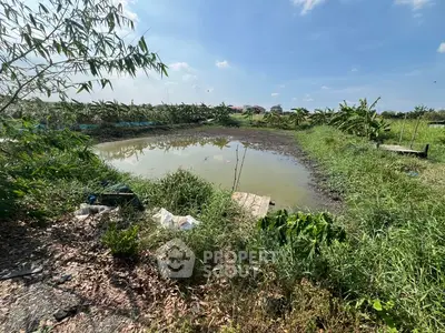 Expansive land with a serene pond, perfect for agricultural development or a tranquil retreat.