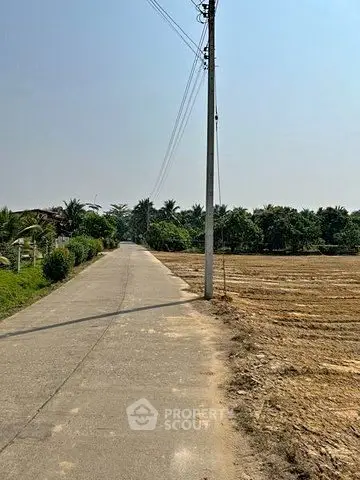 Scenic rural road with lush greenery and open fields, perfect for real estate development.