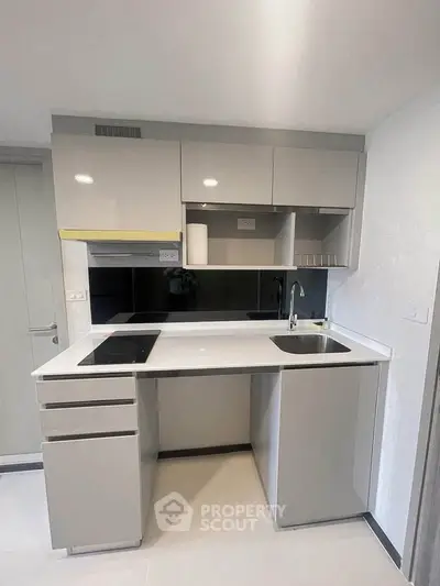 Modern compact kitchen with sleek cabinetry and integrated appliances