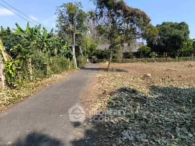 Scenic rural road with lush greenery and open land, perfect for development opportunities.