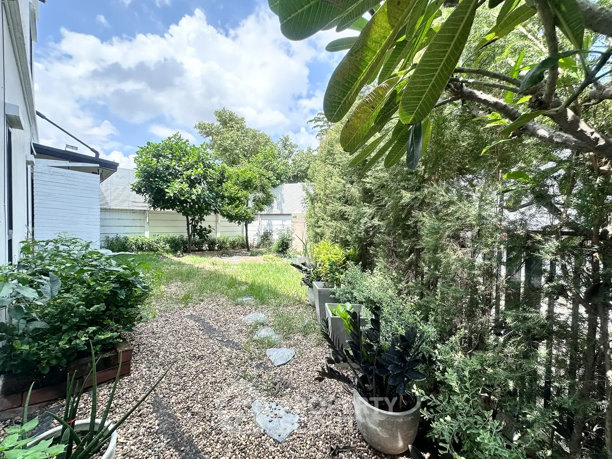 Charming garden with lush greenery and stone pathway in a serene residential backyard.