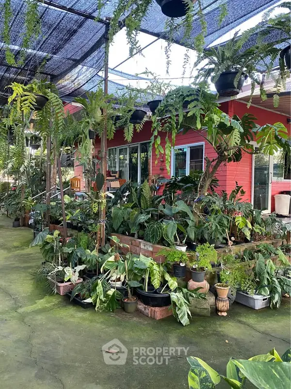 image_rental-28166047