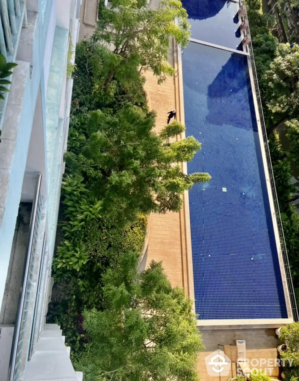 Stunning aerial view of luxurious swimming pool surrounded by lush greenery in upscale residential complex.