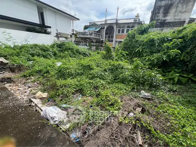 Vacant land plot with lush greenery and potential for development