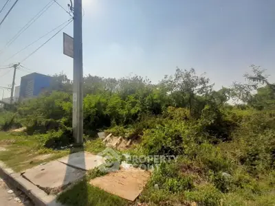 Vacant land plot with lush greenery and clear sky, ideal for development opportunities.