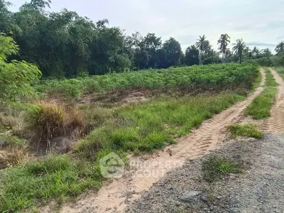 image_rental-27559535