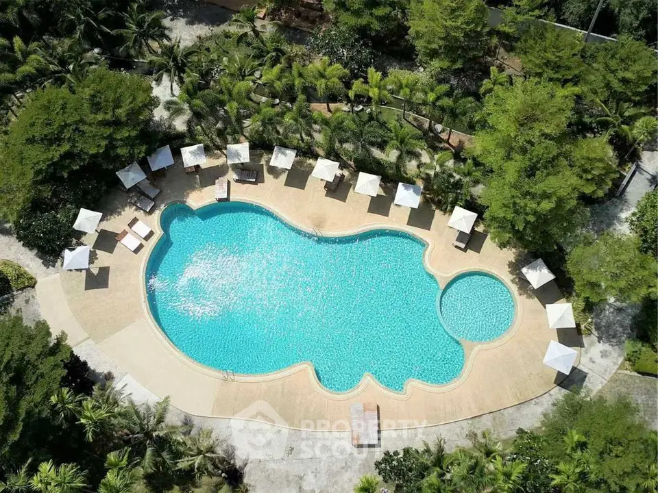 Stunning aerial view of a luxurious swimming pool surrounded by lush greenery and sun loungers.