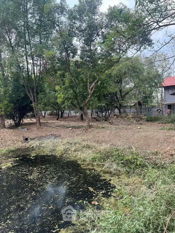 Spacious garden area with lush trees and a small pond, perfect for serene outdoor living.