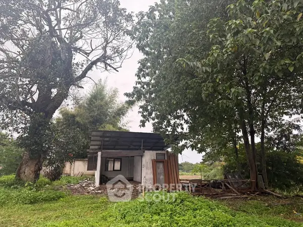 image_rental-27629532