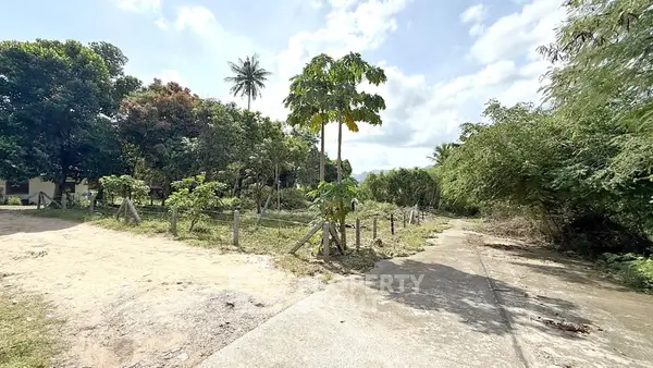 image_rental-27631241