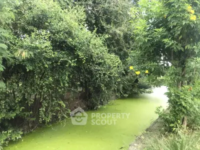 image_rental-31414034