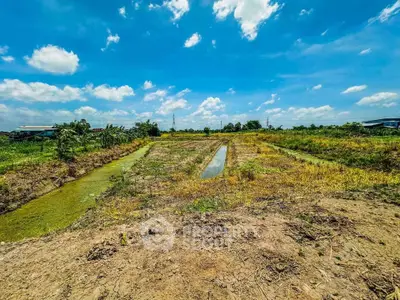 Expansive agricultural land under a clear blue sky, perfect for farming or development opportunities.