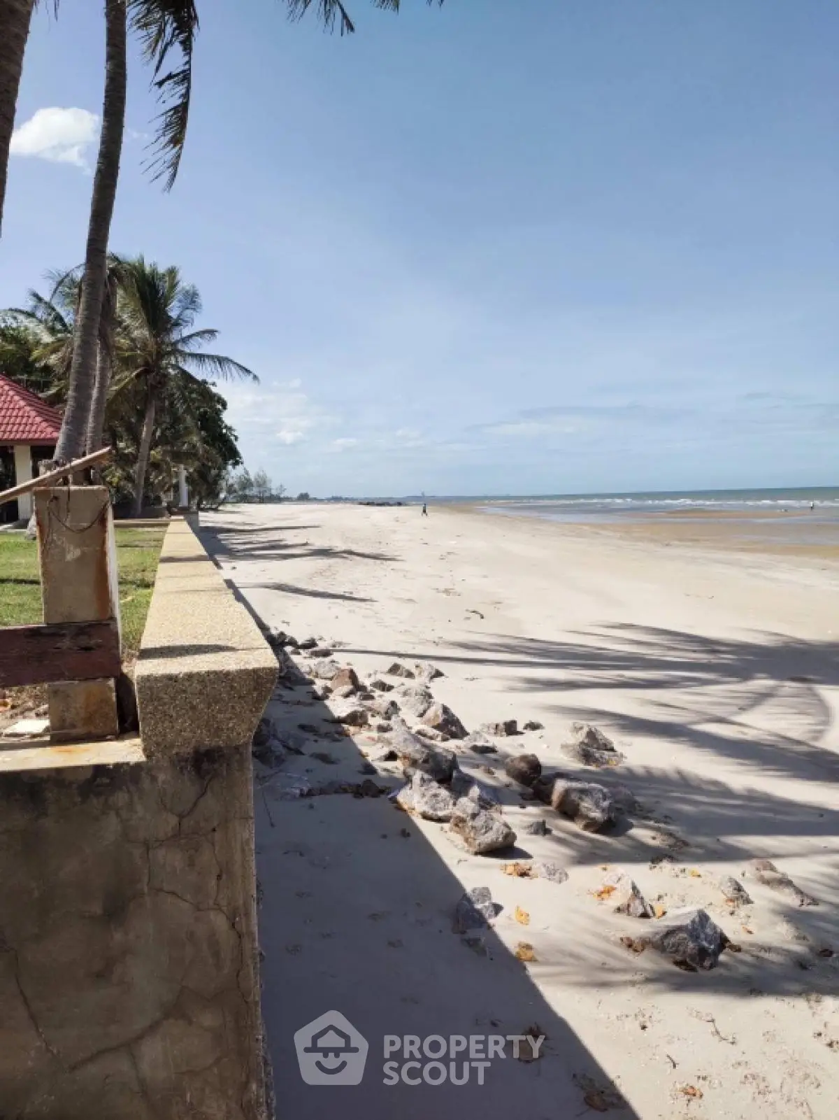 Stunning beachfront property with expansive sandy shores and palm trees, perfect for serene coastal living.