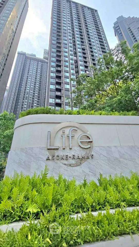 image_rental-30342033