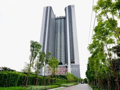 image_rental-31103767