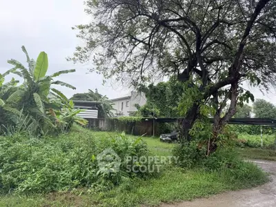 Lush green garden with trees and a distant view of a residential building, perfect for nature lovers.