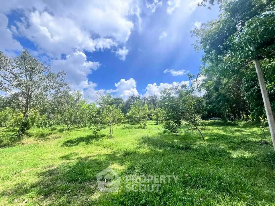 Expansive green land with lush trees under a vibrant blue sky, perfect for development or investment.