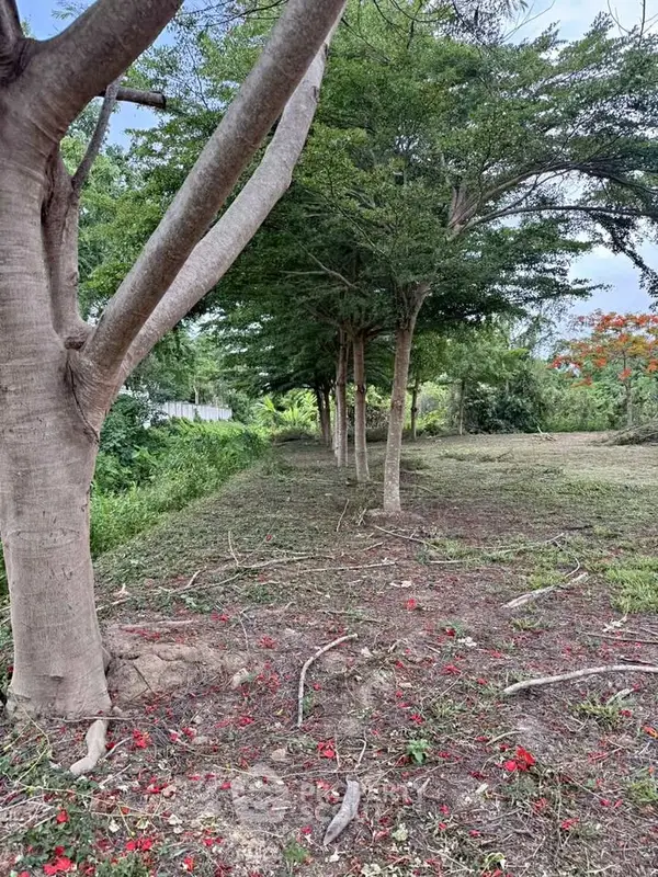 image_rental-24939483