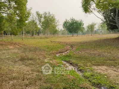 Expansive land with lush greenery and trees, perfect for development or agriculture.