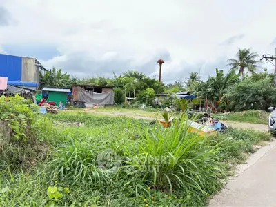 Expansive land plot with lush greenery and potential for development in a serene setting.