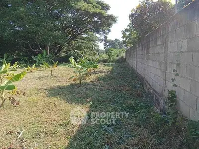 Spacious land plot with lush greenery and boundary wall, ideal for development.