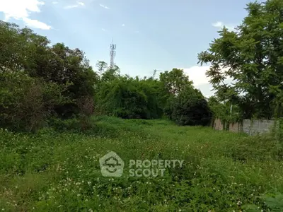 image_rental-13012518