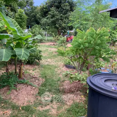 Lush garden with diverse plants and trees, perfect for nature lovers seeking tranquility.