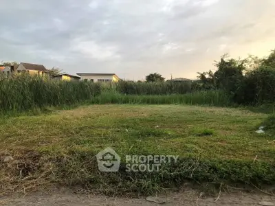 Spacious vacant land with lush greenery, perfect for development opportunities.