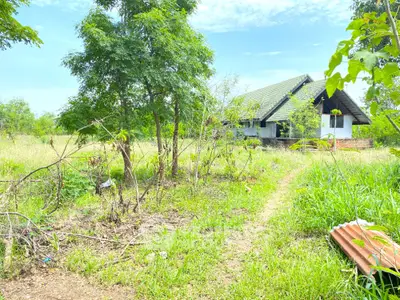 Charming countryside house with lush greenery and serene surroundings