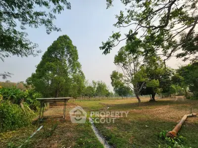 Expansive green land with mature trees, perfect for development or agriculture.