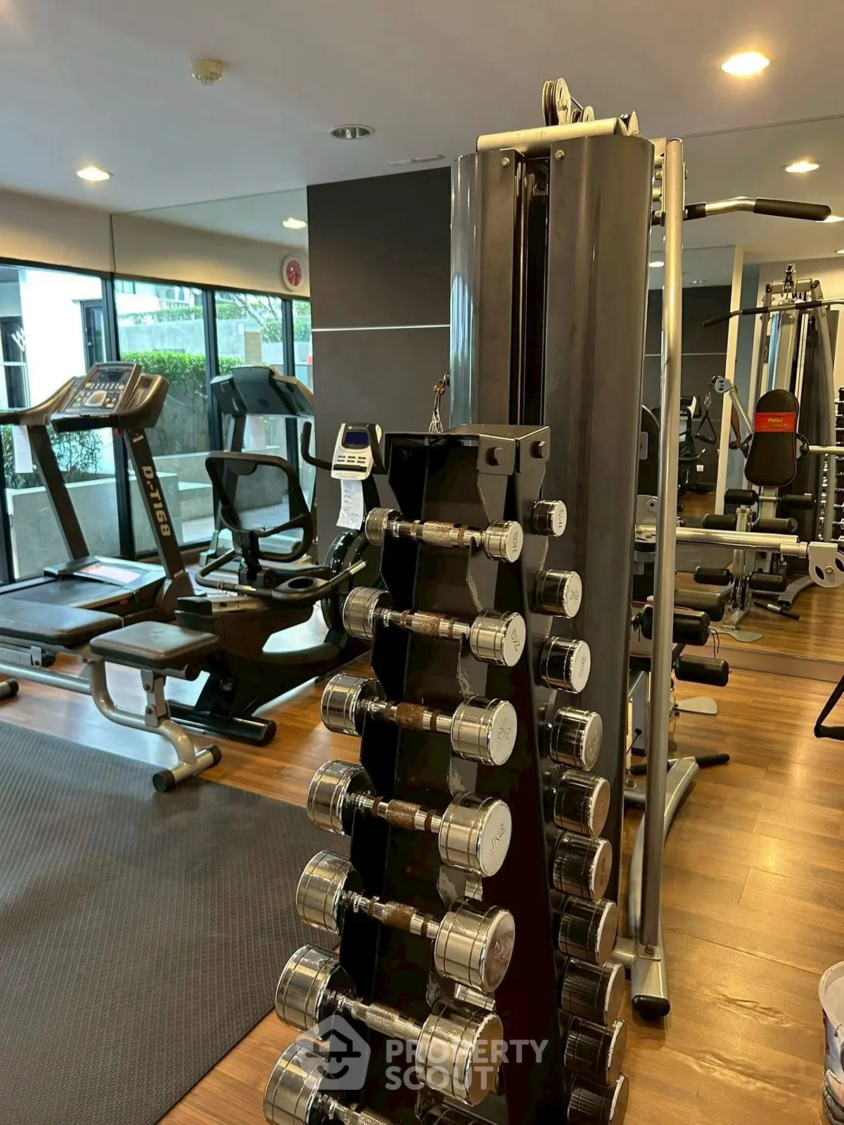 Modern gym with state-of-the-art equipment and weights, ideal for fitness enthusiasts.