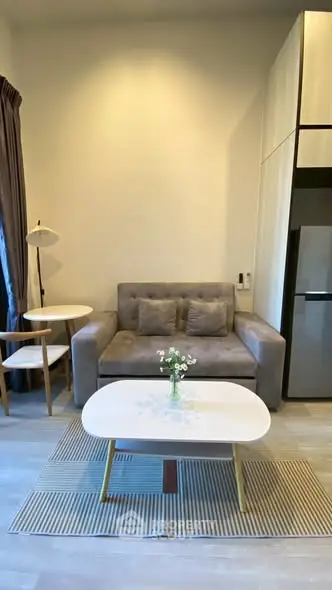 Modern living room with cozy gray sofa and stylish coffee table