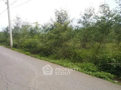 Scenic roadside view with lush greenery and trees, ideal for real estate development.