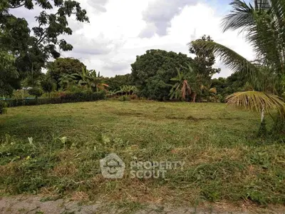 image_rental-27548718