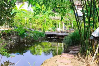 Charming garden with a serene pond and lush greenery, perfect for relaxation and nature lovers.