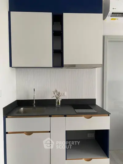 Modern minimalist kitchen with sleek cabinetry and compact design