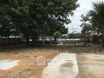 Spacious vacant land with lush greenery, ideal for development in a serene neighborhood.