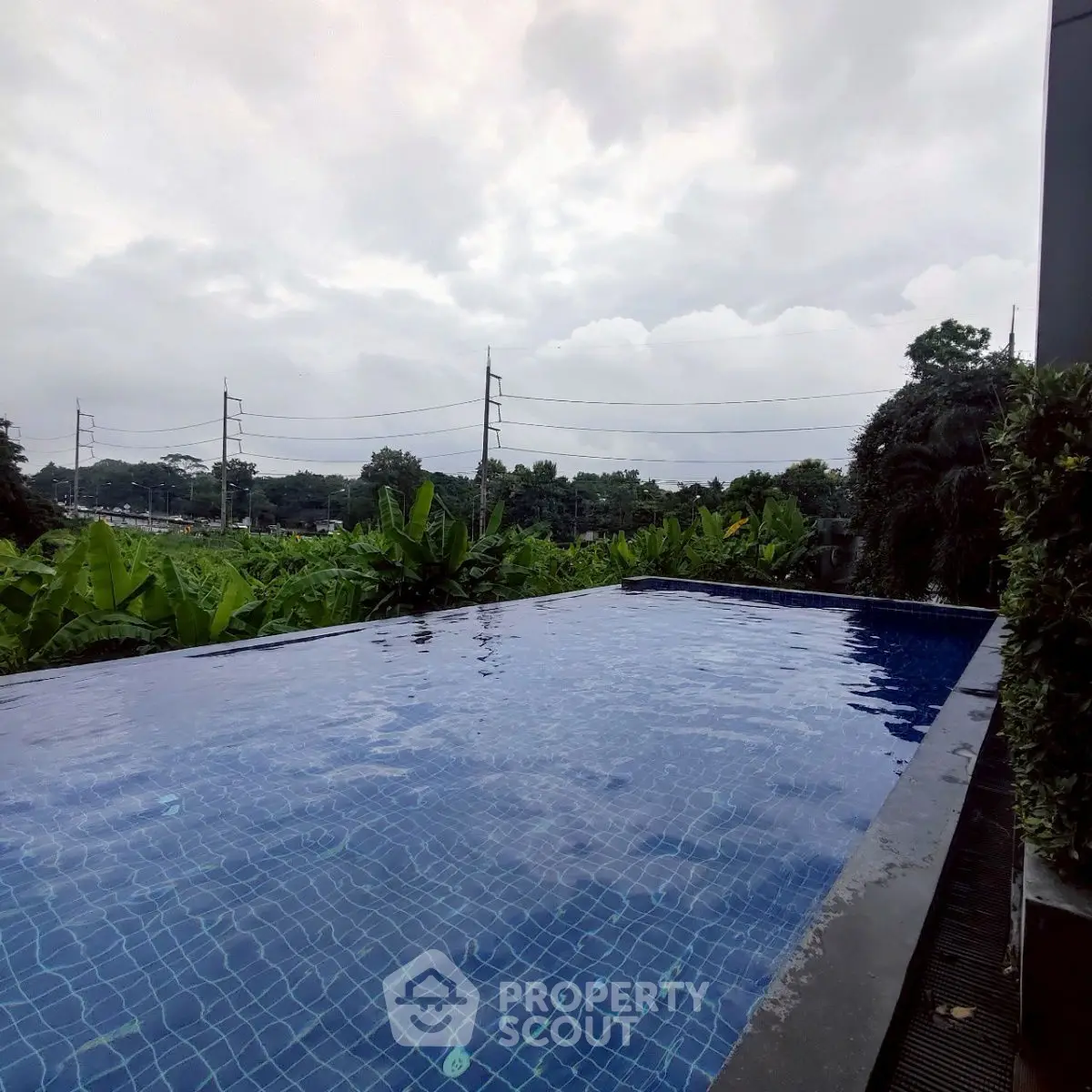 Stunning infinity pool with lush greenery and serene views, perfect for relaxation and luxury living.