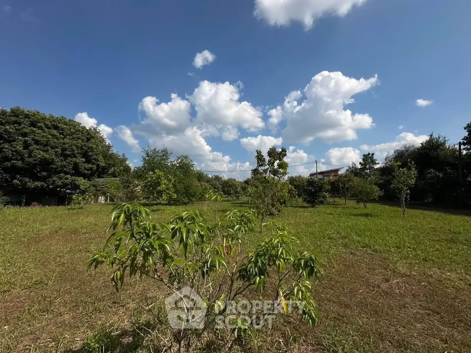 Expansive green land with lush trees under a bright blue sky, perfect for development or agriculture.