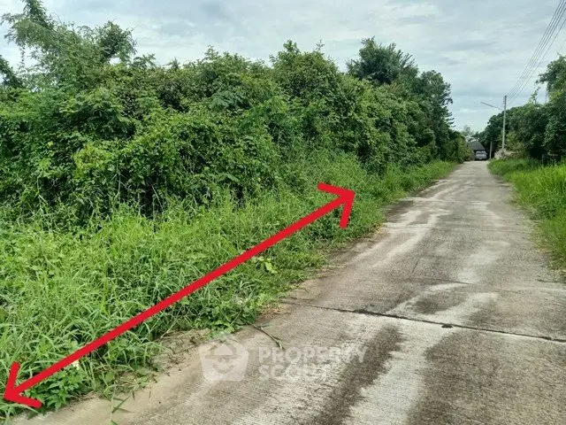 Vacant land with lush greenery and paved road access, ideal for development.