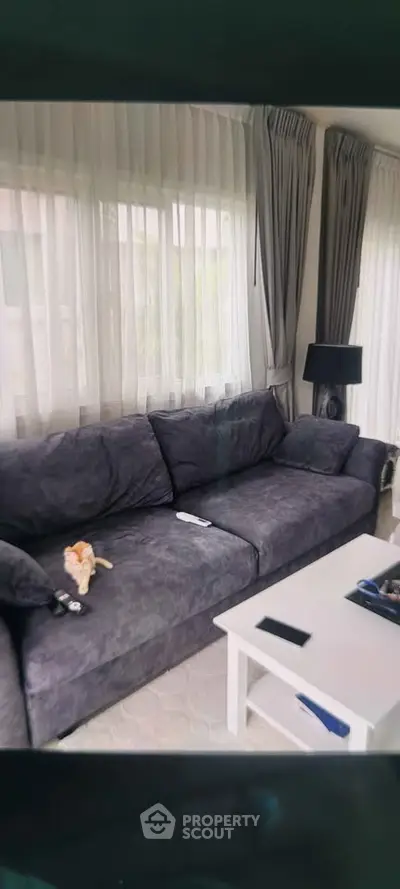 Cozy living room with plush gray sofa and elegant curtains