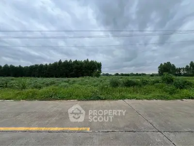 Expansive green land with lush trees under a cloudy sky, perfect for development opportunities.