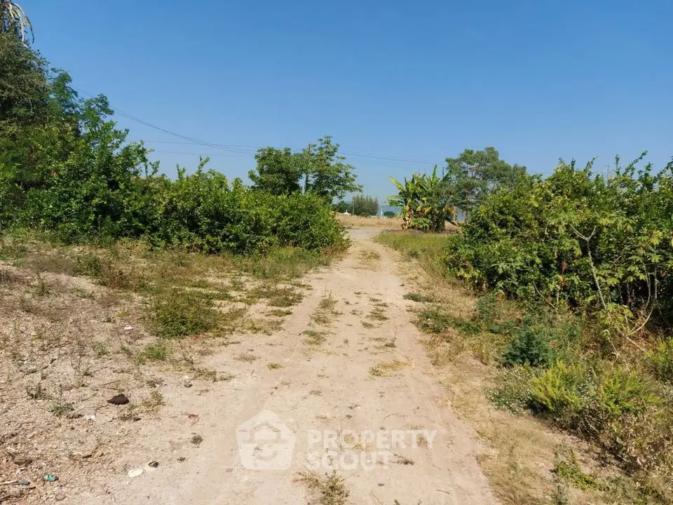 Expansive rural land with lush greenery and clear blue sky, ideal for development.