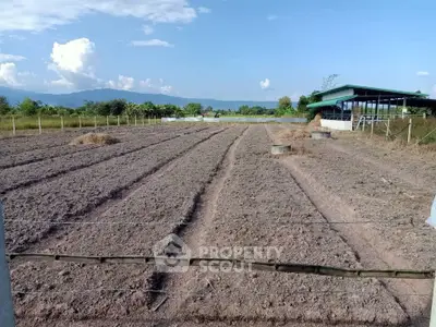 Expansive agricultural land with clear skies and mountain views, ideal for farming or development opportunities.