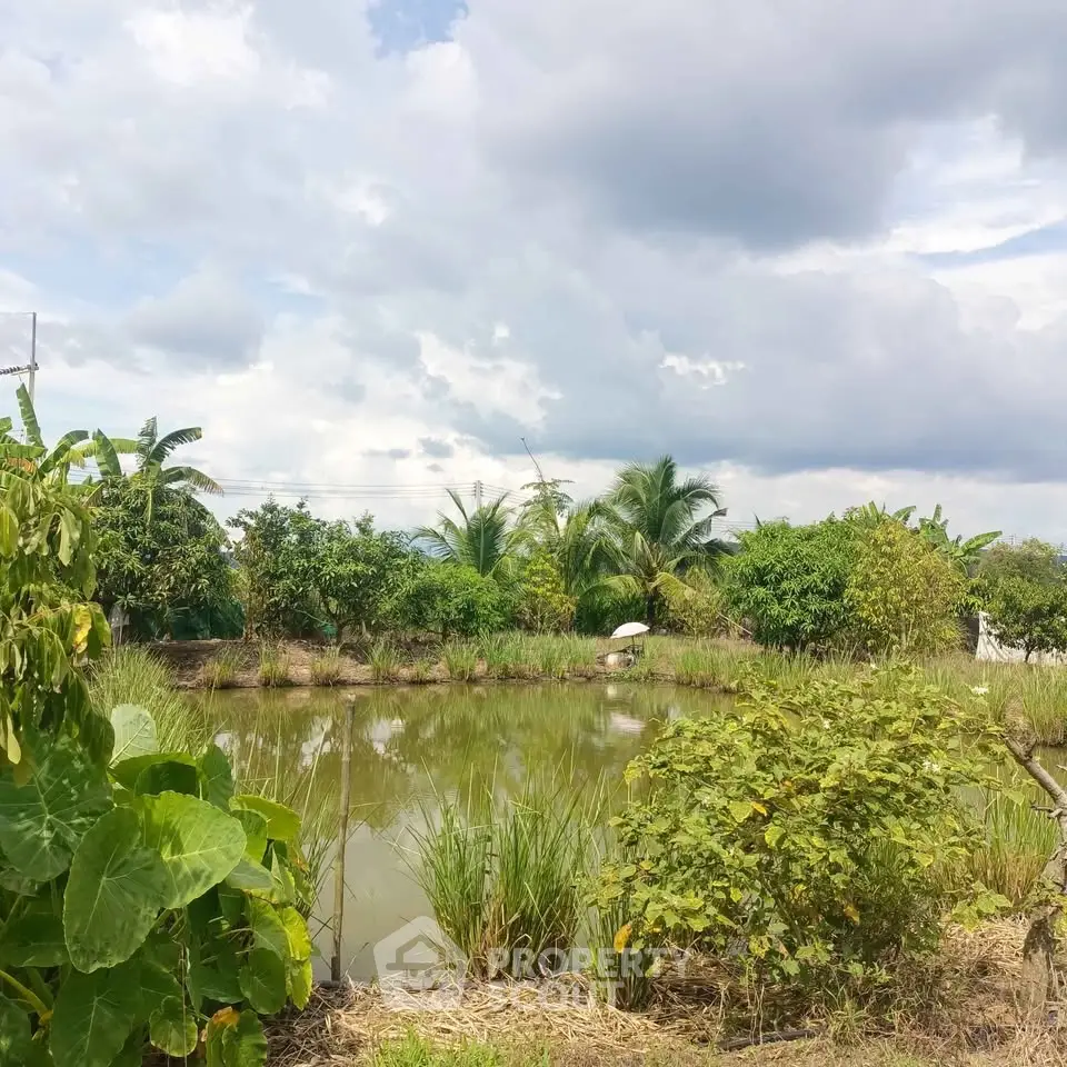 Lush garden with serene pond and tropical greenery under a cloudy sky.