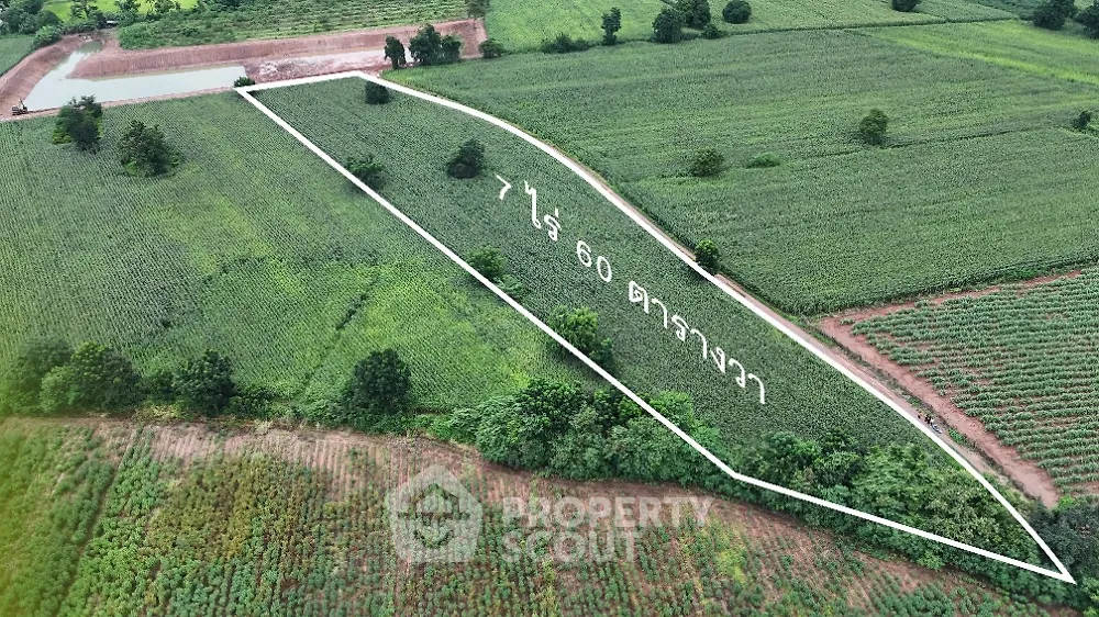 Expansive agricultural land for sale with clear boundary markings and lush greenery.