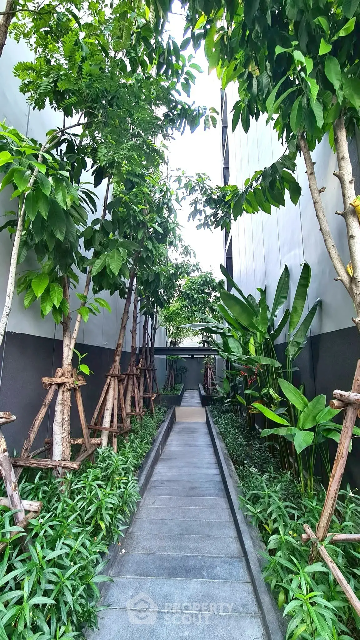 Modern building entrance with lush greenery and sleek pathway