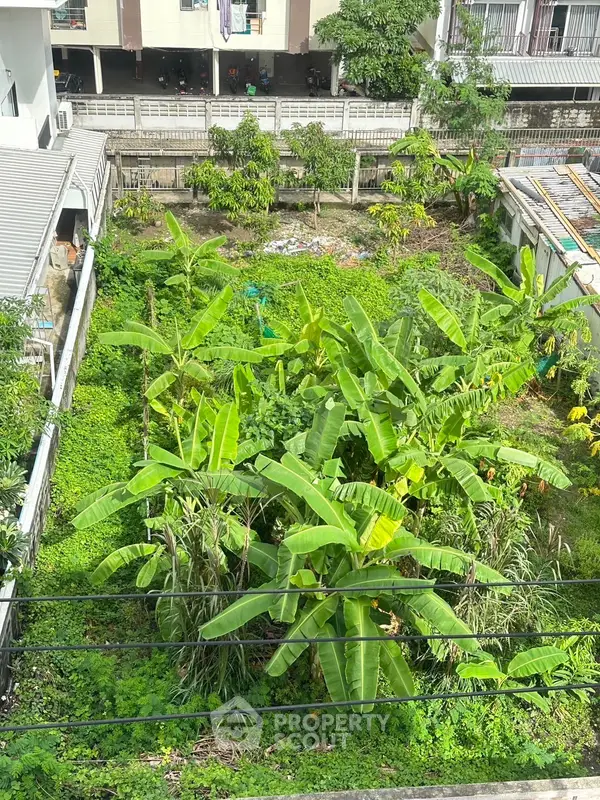 image_rental-28945251